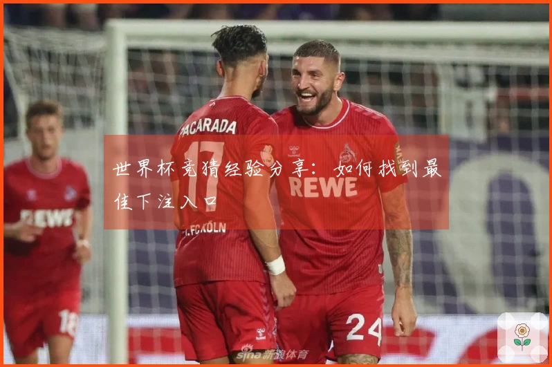 世界杯竞猜经验分享：如何找到最佳下注入口