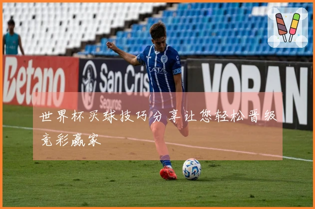 世界杯买球技巧分享让您轻松晋级竞彩赢家