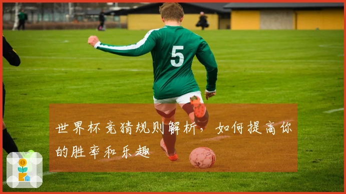世界杯竞猜规则解析，如何提高你的胜率和乐趣