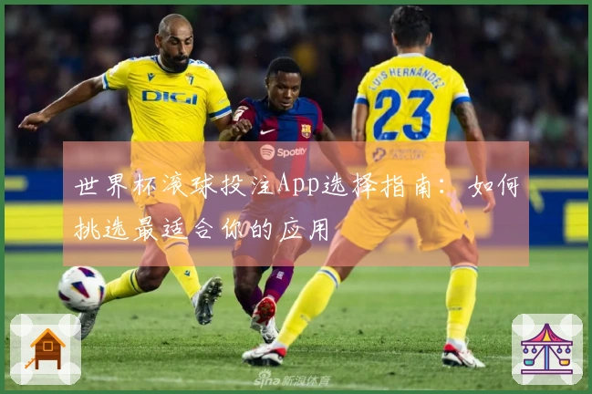 世界杯滚球投注App选择指南：如何挑选最适合你的应用