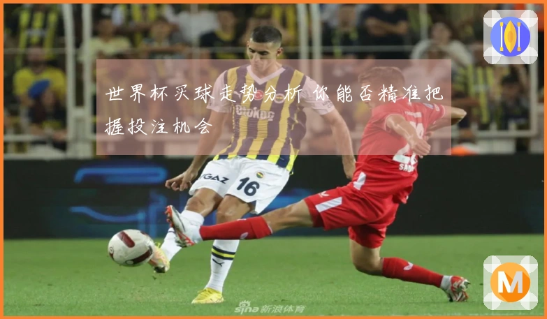 世界杯买球走势分析 你能否精准把握投注机会